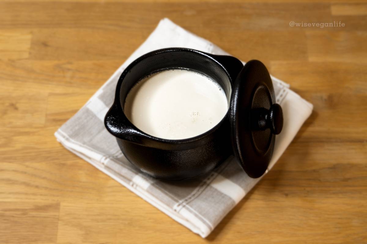 Soya Yogurt Wise Vegan Life